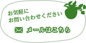 メールはこちら