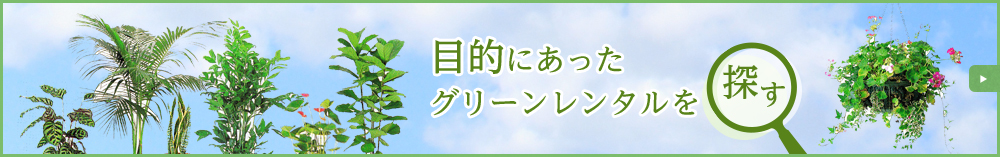 目的にあったグリーンレンタルを探す